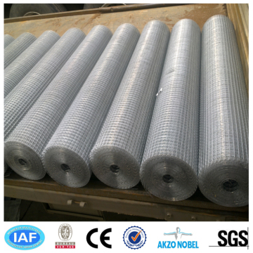304 stainless steel welded wire mesh (factory)