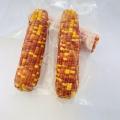 High Quality Motley Sweet Corns