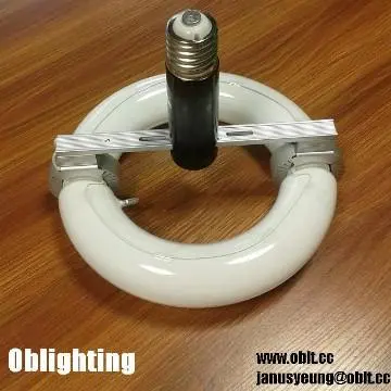 E40 lampholder induction lighting retrofit