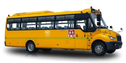 Dongfeng Mini Bus and School Bus Wholesale Sale
