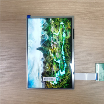 10.1 Inch LCD TFT Display