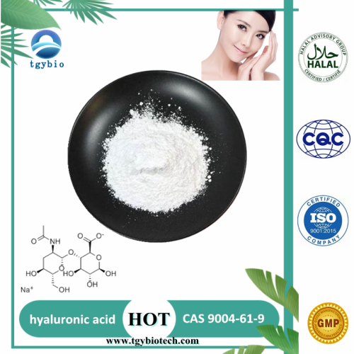 Hydraulic Acid Powder Supply Cosmetic Grade Hyaluronic Acid Powder 99% Manufactory