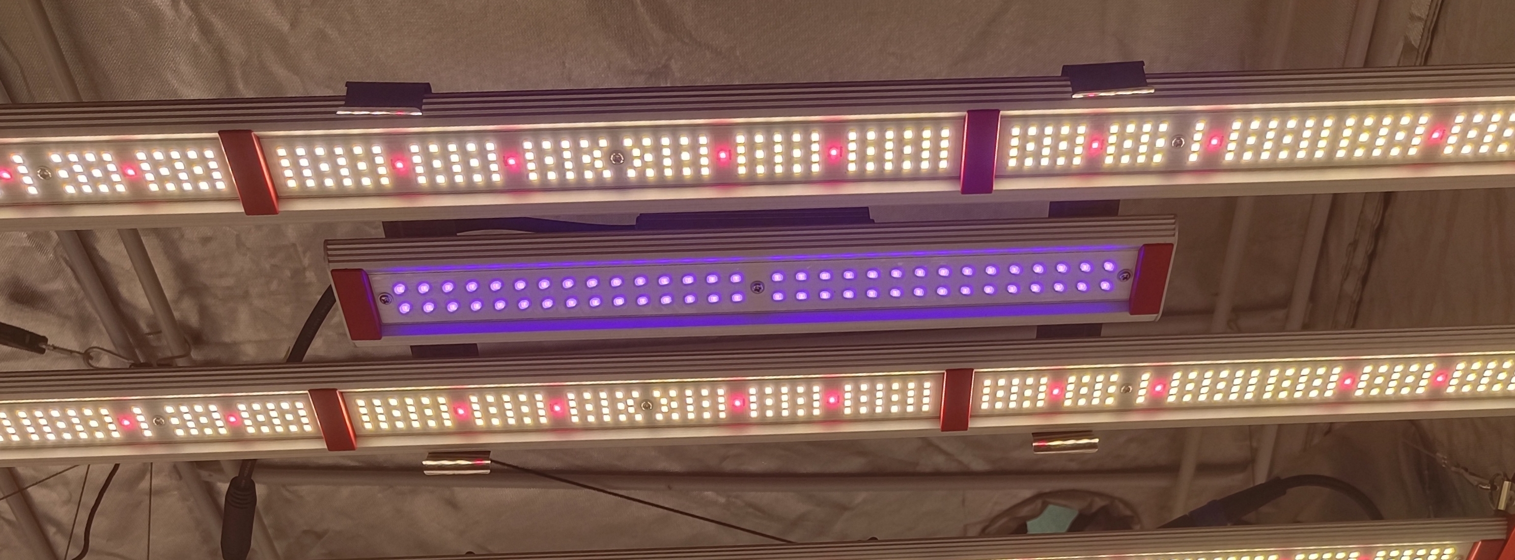 UV GROW LIGHT