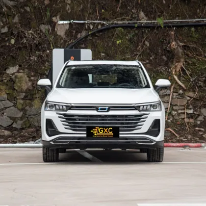 FAW Pentium 2023 1.5T automatic premium model