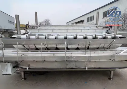 Cost-Effective Automatic Weighing and Packing Machine for Berry Farms