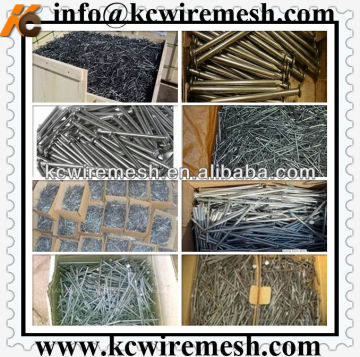 Furniture common nails/iron nails made in Anping,China!!