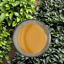 China Animal Feed Additive Corn Steep Liquor Powder 42% Supplier