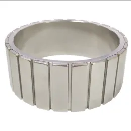 Arc NdFeb Magnet for Brushless DC Motor