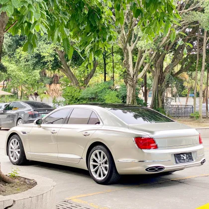 Metal Paint Champagne W Car Wrap