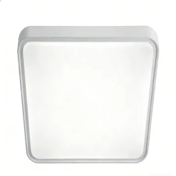 Living room ceiling light LED