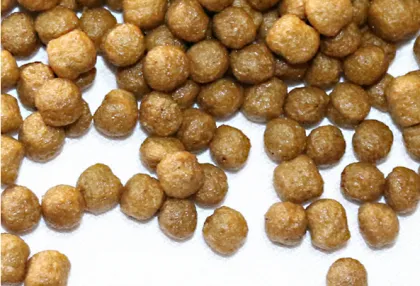 lamb rice pet food dog food