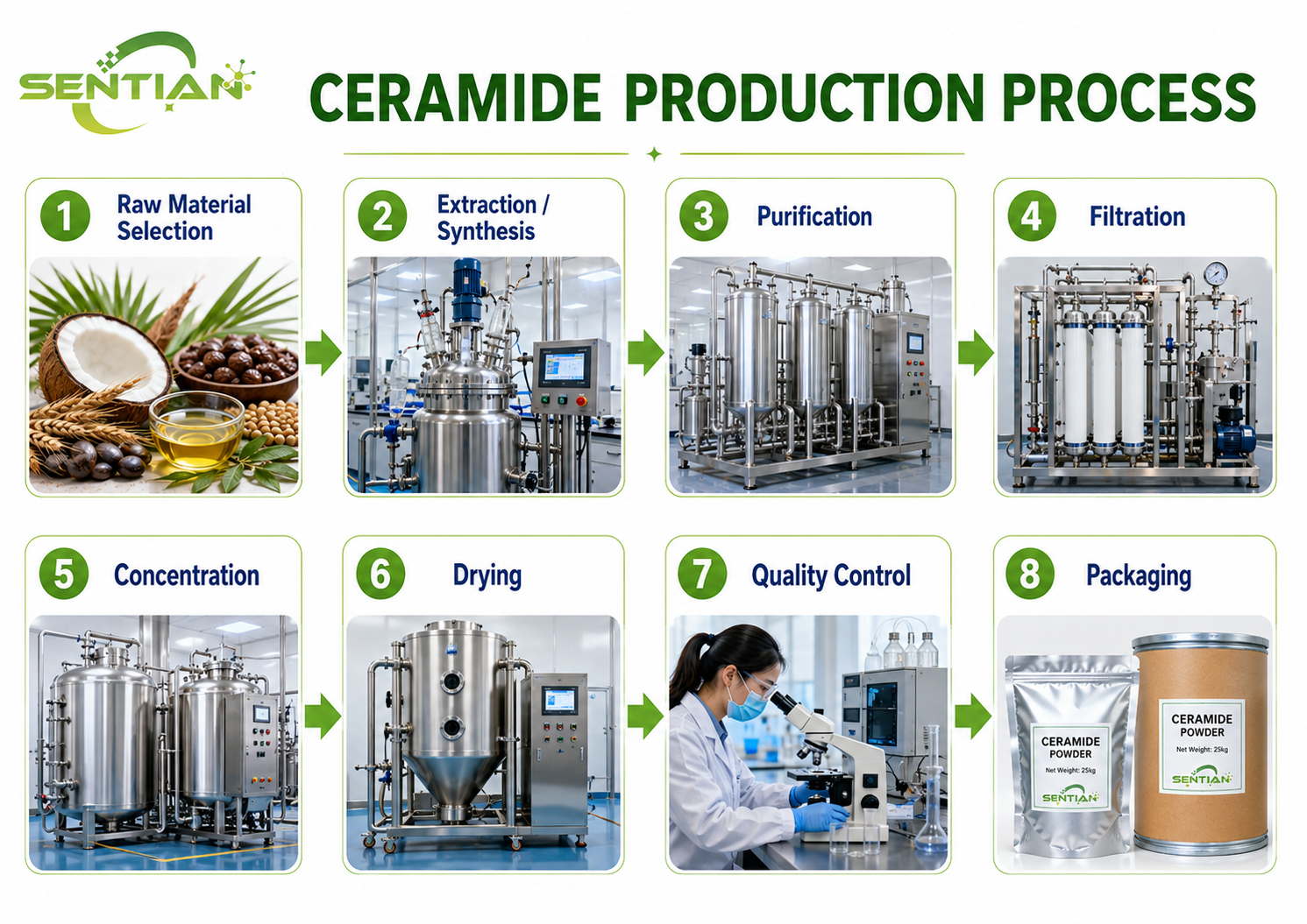Ceramide（1）