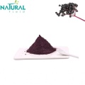 Black Anthocyanidins pure elderberry extract powder