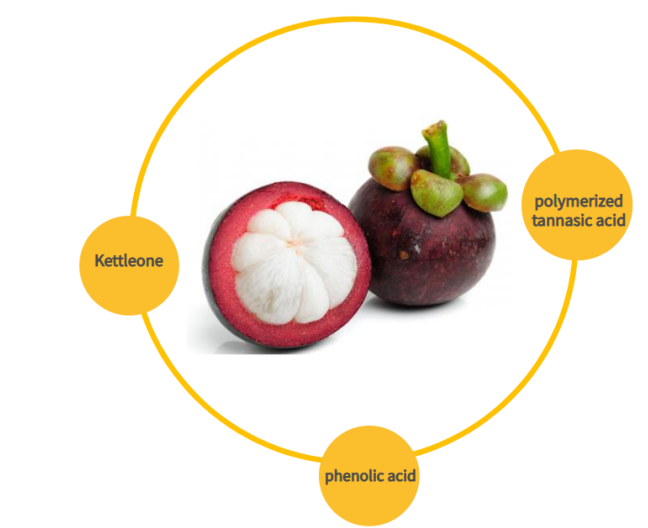 ingredients of mangosteen extract