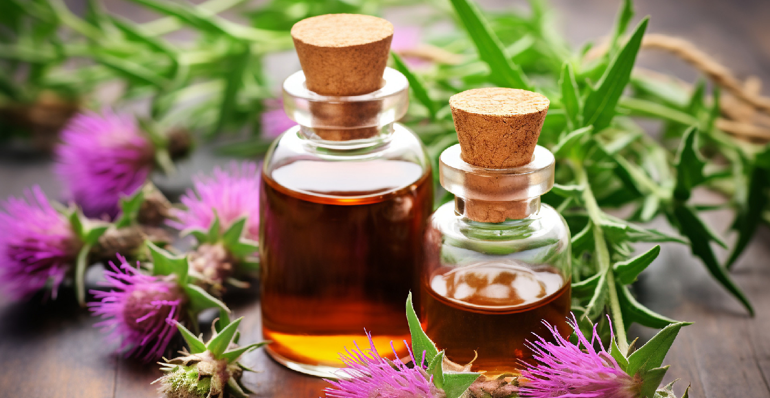 Milk-thistle-seed-oil-1