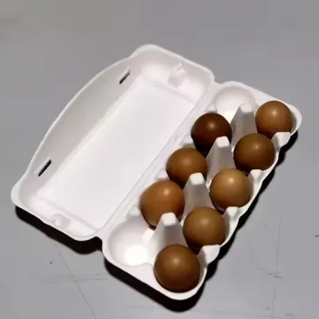 Eco-Friendly Biodegradable Egg Storage Box Carton
