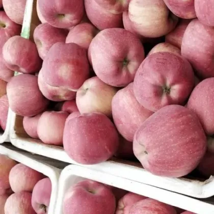 Red Star Apples Fresh
