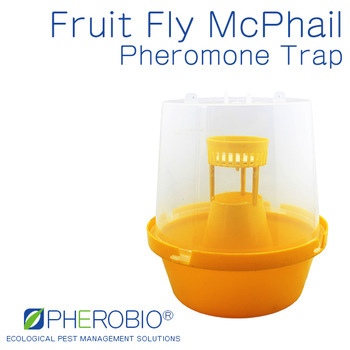 Fruit Fly Trap McPhail