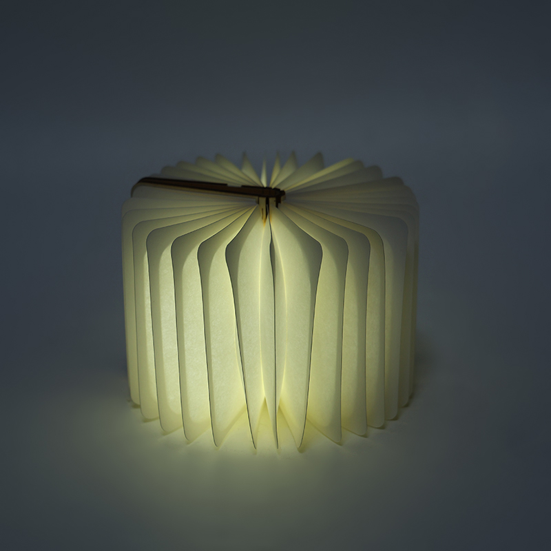 Decorative Book Shaped Light