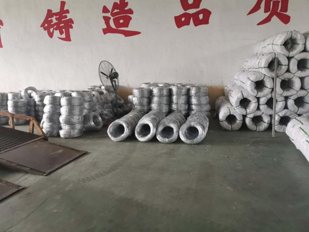 Electro galvanized iron wire bwg21/galvanized iron wire