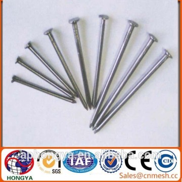 wholesale common nail wooden nails iron nails