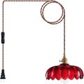 Plug in pendant lamp flower glass shade