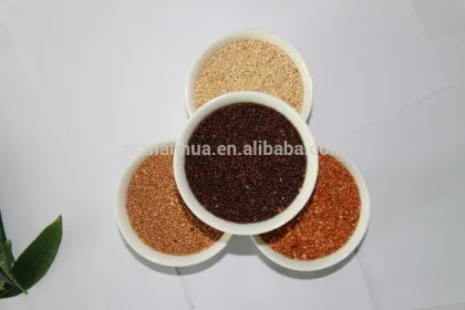 Red broomcorn millet