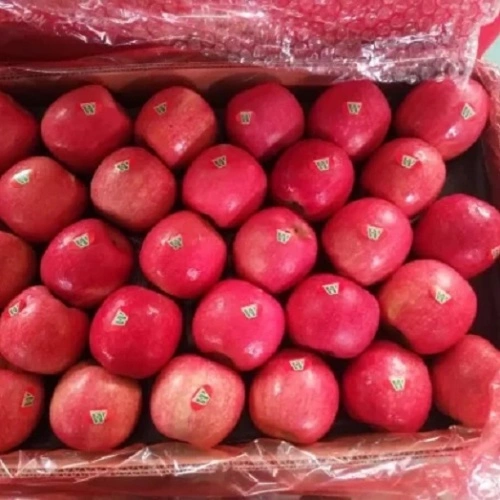 Chinese Pink Lady Red Apples China Manufacturer