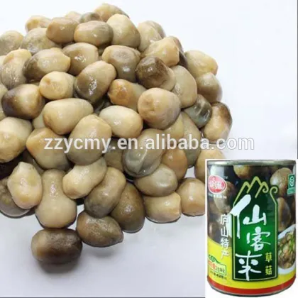 edible chinese straw mushrooms in tin