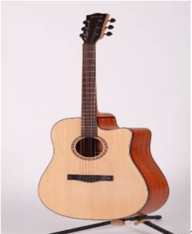 Acoustic guitar
