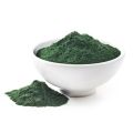 Best Chlorella Powder for Health and Wellness
