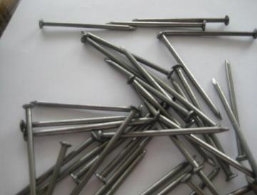 Common Nail with good quality