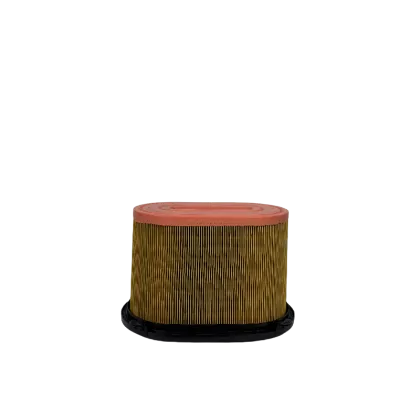 Durable Air Compresstor Air Filter ZS1087405 Filter Products