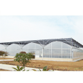 Multi Span Plastic Film Greenhouse For Agriculture