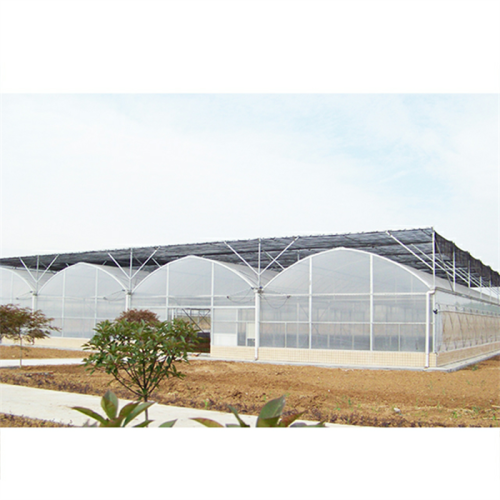 Multi Span Plastic Film Greenhouse For Agriculture