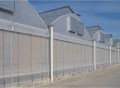 Serre tunnel avec protection UV pour la culture de légumes