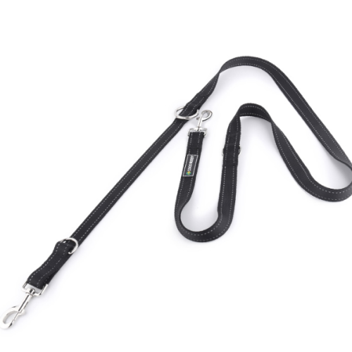 Nylon Hands Free Taille Dog Training Lead