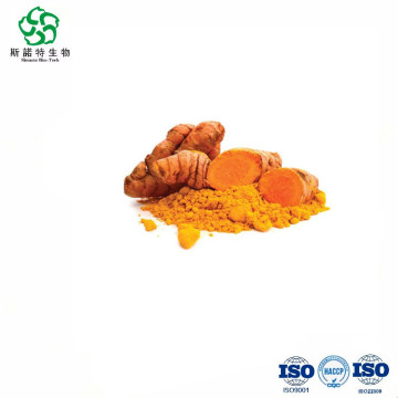 Bulk Organic Turmeric Extract 95% Curcuminoids