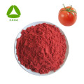 Fruit Vegetable Powder Dried Tomato Extract Powder lycopene