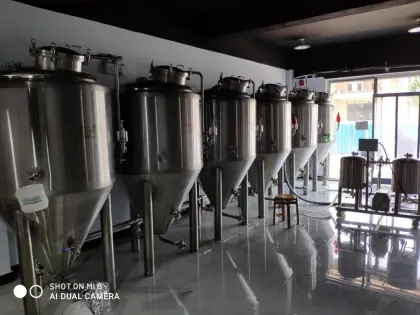 stainless steel 200L Beer Brewing equipment