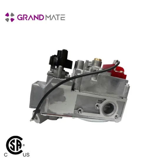 cooking appliance fireplace safe gas control valve