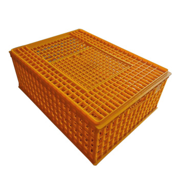 Plastic Poultry Carrier Crate for 8-10 Chickens Transportation