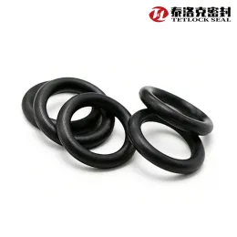 Thick Rubber O-Ring Seals