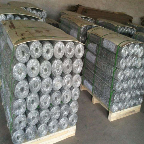 Galvanized hexagonal wire netting Iron wire mesh