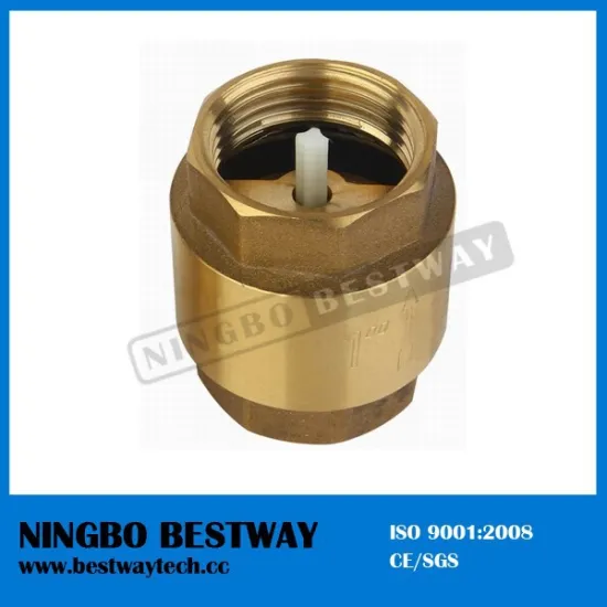 Ningbo Bestway Brass Check Valve with Plastic Core Types