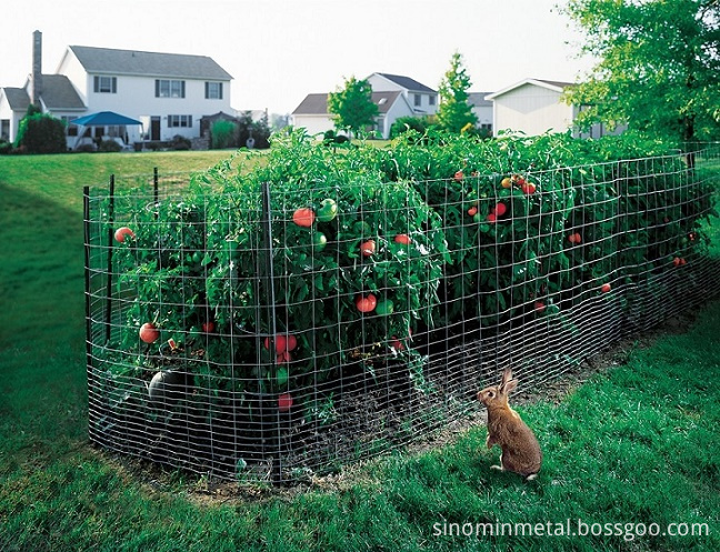 welded wire mesh pet fence