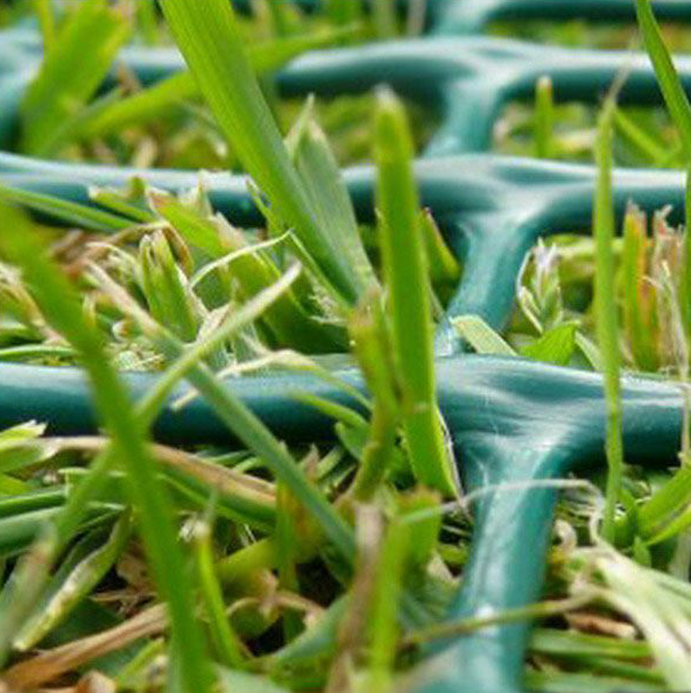 Plastic Lawn Protection Net