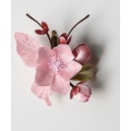 /msite/products/detail/productid/68305060/id/1704599.html