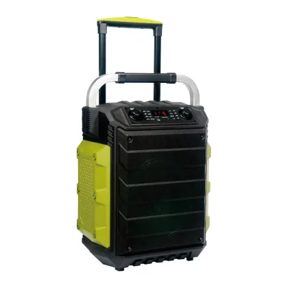 Temeisheng Wireless Trolley Speakers for Karaoke Systems