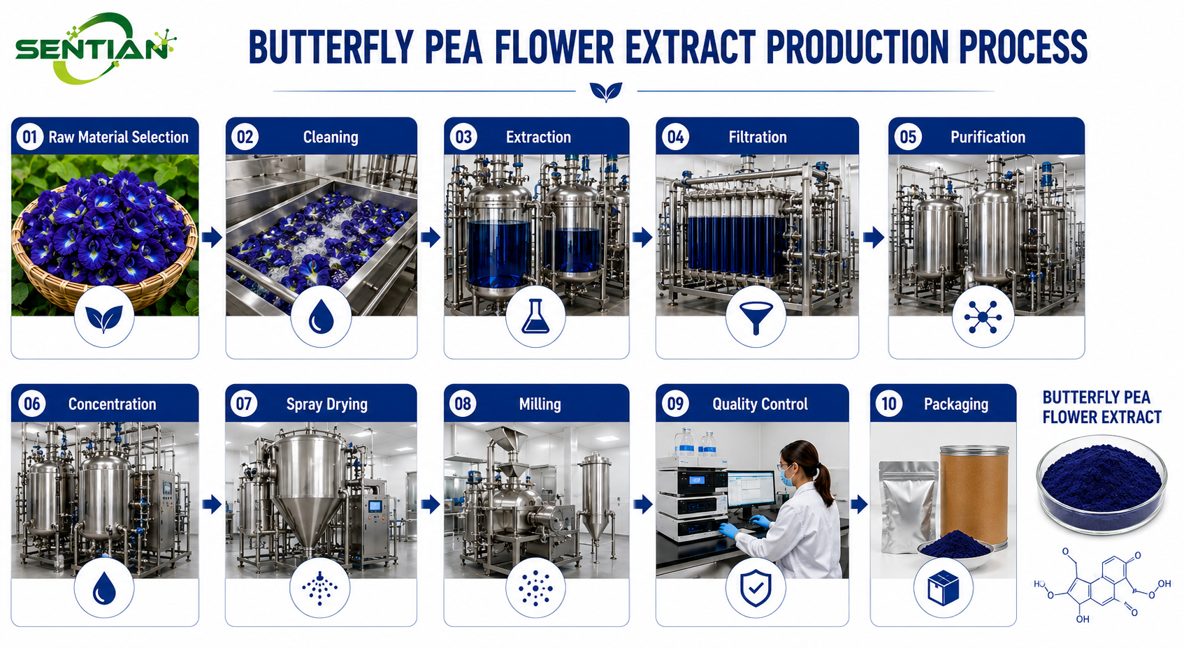 Butterfly Pea Flower Extract1